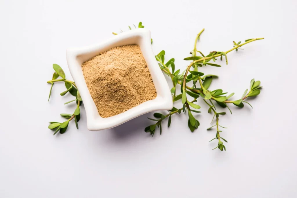 bacopa monnieri herb plant or ayurvedic-Brahmi plant and powder in a bowl.