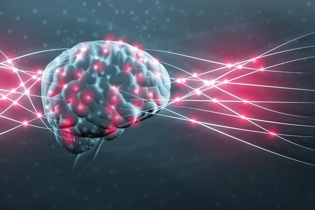 Human brain and neural nerve connections