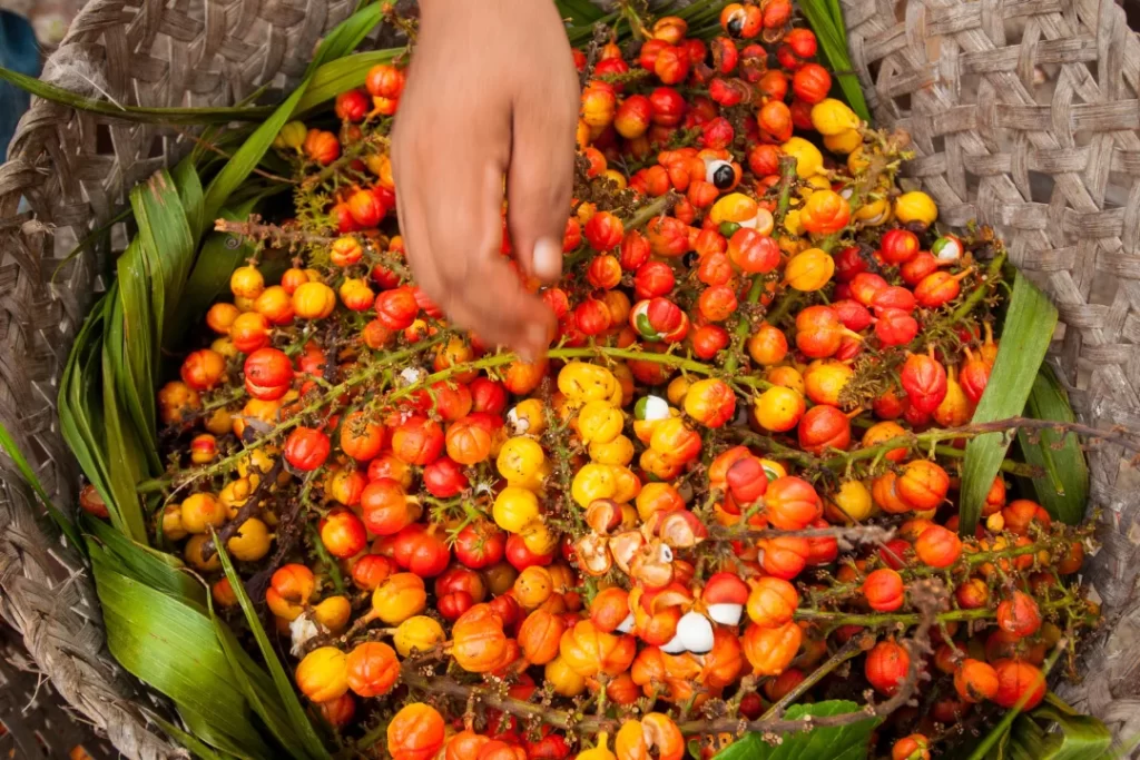 Fresh and Organic Guarana fruits