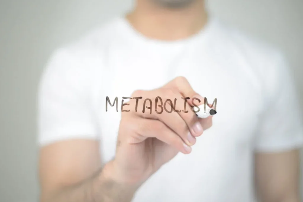 Metabolism. 