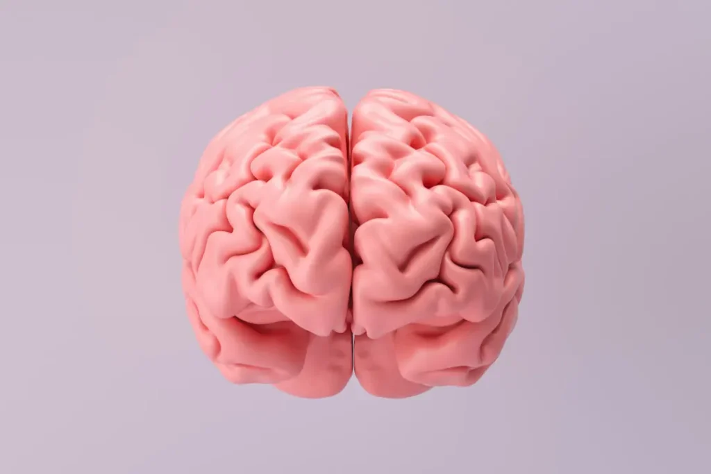 computer artwork of human brain