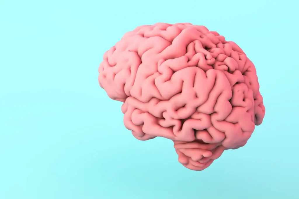 computer artwork of human brain