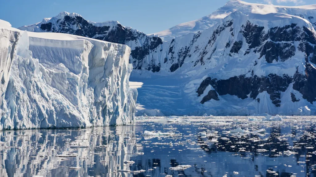 Antarctic Wildlife Research Space