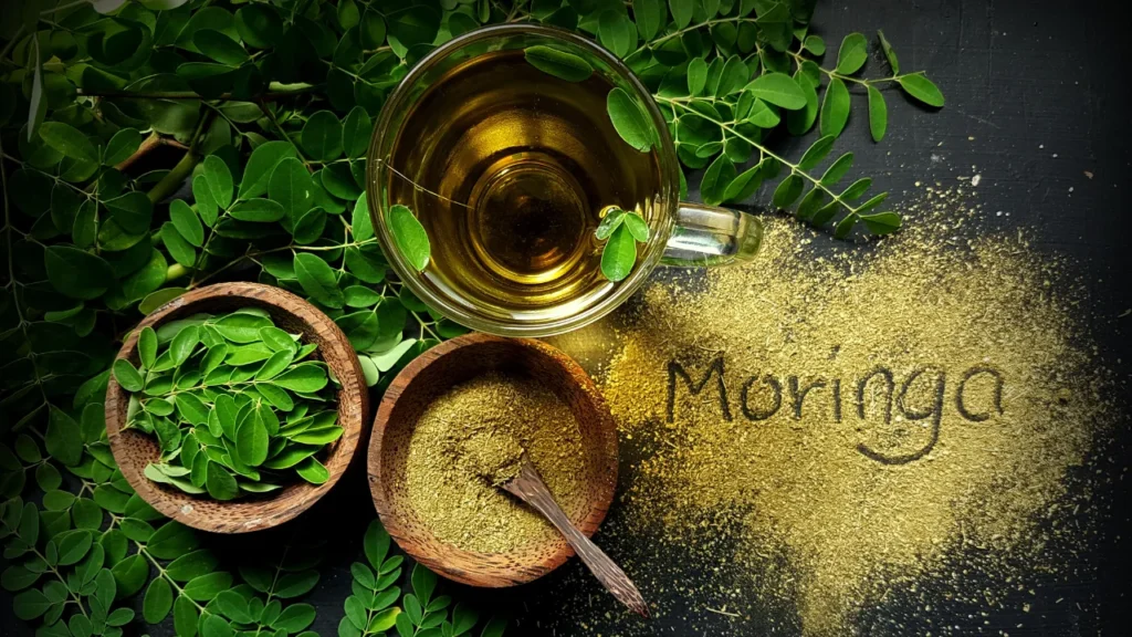 Moringa Tea for better health