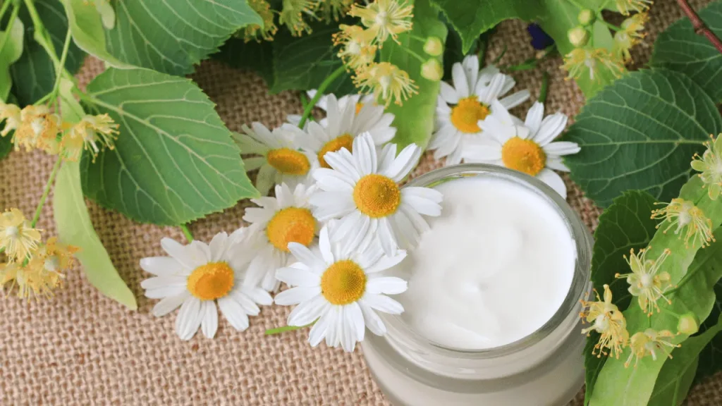 Chamomile cream for face. 