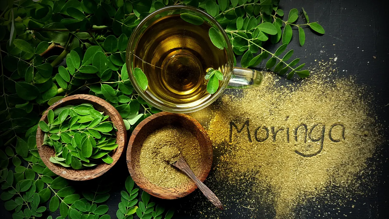 Moringa